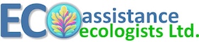 Eco Assistance